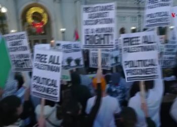 Carta antisemita de Bin Laden gana popularidad en Tik Tok