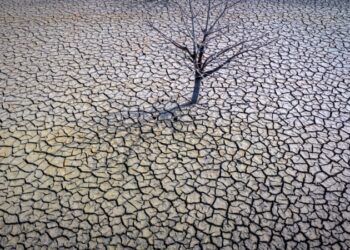 Emiratos Árabes se prepara para recibir la cumbre por el medio ambiente COP28
