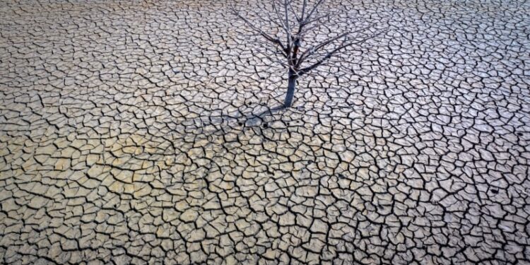 Emiratos Árabes se prepara para recibir la cumbre por el medio ambiente COP28