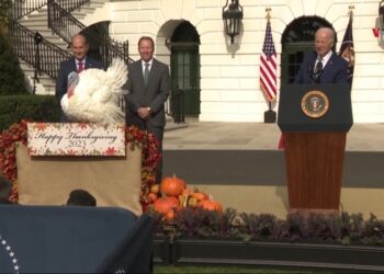 El indulto del pavo, una peculiar tradición en la Casa Blanca