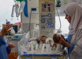 Evacuan a bebés prematuros de hospital Al Shifa de Gaza