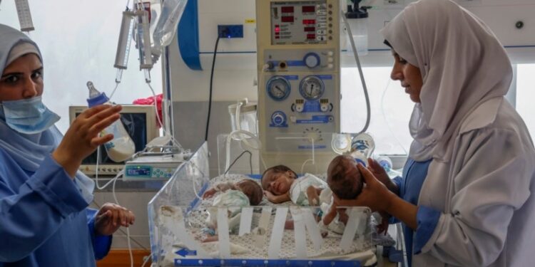 Evacuan a bebés prematuros de hospital Al Shifa de Gaza