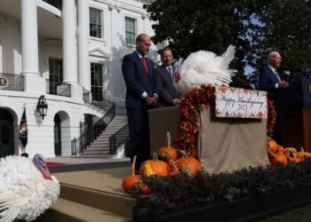 Estados Unidos AL DIA Noviembre 20