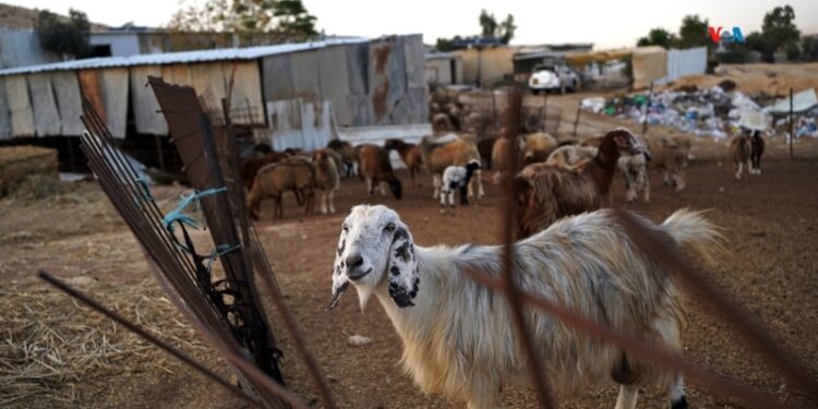 Las partes implicadas en el conflicto de Oriente Medio aprobaron una nueva jornada de alto el fuego.