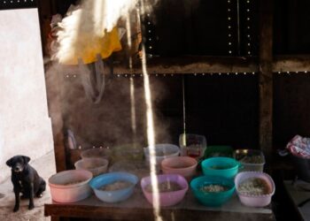 CEPAL: pese a baja de la pobreza, 181 millones carecen de recursos para necesidades básicas en Latinoamérica