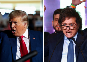 Expertos evalúan en qué temas coinciden y en cuáles difieren el presidente electo de Argentina Milei y Trump