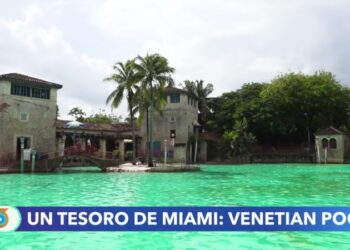 Venetian Pool: un oasis de 100 años escondido en Miami