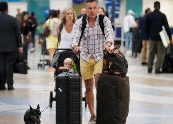 Millones de estadounidenses visitan hoy a su familia y amigos para celebrar el Día de Acción de Gracias