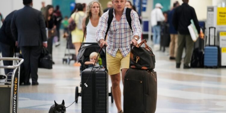 Millones de estadounidenses visitan hoy a su familia y amigos para celebrar el Día de Acción de Gracias