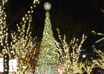 Washington se ilumina de Navidad