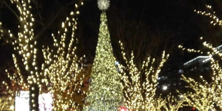 Washington se ilumina de Navidad