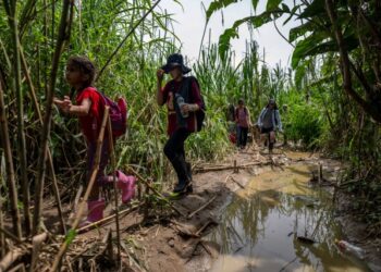 Médicos Sin Fronteras atendió casi 400 casos de violencia sexual a migrantes en el Darién en 2023