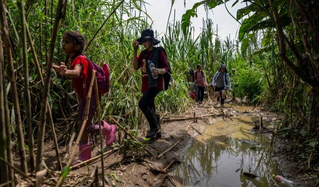 Médicos Sin Fronteras atendió casi 400 casos de violencia sexual a migrantes en el Darién en 2023