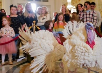 Biden celebra su cumpleaños 81 honrando tradición de la Casa Blanca de perdonar a los pavos de Acción de Gracias