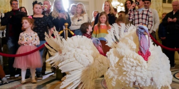 Biden celebra su cumpleaños 81 honrando tradición de la Casa Blanca de perdonar a los pavos de Acción de Gracias