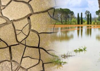 ¿Qué recomiendan los expertos ante una gran sequía en Venezuela por el fenómeno El Niño?