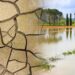 ¿Qué recomiendan los expertos ante una gran sequía en Venezuela por el fenómeno El Niño?