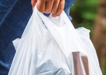Los estados que prohibirán las bolsas de plástico para 2024 en EEUU