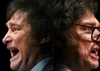 ¿Quiénes serán los aliados y los adversarios políticos de Javier Milei en América?