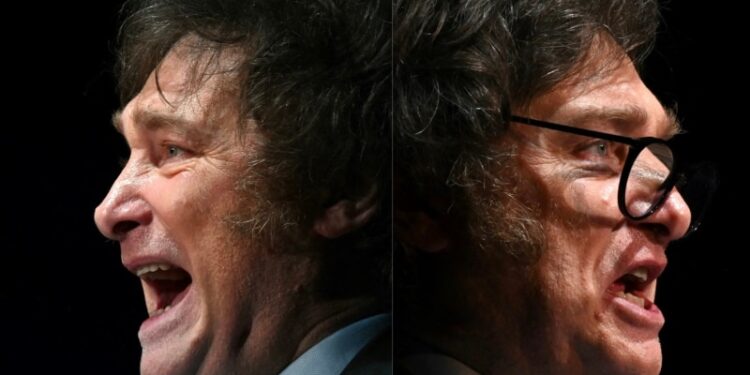 ¿Quiénes serán los aliados y los adversarios políticos de Javier Milei en América?
