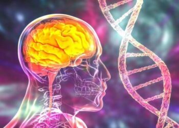 Científicos de Colombia y Argentina buscan identificar mutaciones del alzheimer