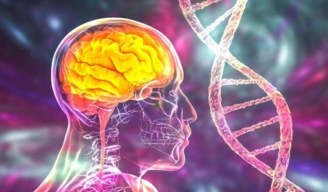 Científicos de Colombia y Argentina buscan identificar mutaciones del alzheimer