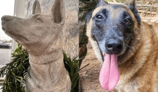 Perro Wilson: guía del canino reveló el “error” por el cual se escapó en la selva