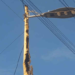 Poste de luz amenaza la vida de los transeúntes en una parada de La Guaira (FOTO)
