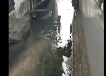 Entre gusanos, malos olores y cloacas temen pasar la Navidad en la urbanización Páez en El Vigía