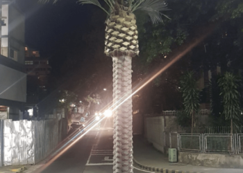 FOTO: alcalde de Baruta mandó a poner una palmera de plástico donde antes había una planta de verdad