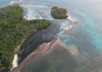 Habitantes de Los Roques denunciaron caso de deforestación en el archipiélago (Fotos y video)