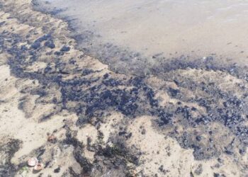 Nuevo derrame de petróleo en costas de Falcón afecta a pescadores y trabajadores de la zona