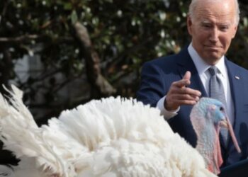 La broma salió mal otra vez: Joe Biden confundió a Britney Spears con Taylor Swift durante el indulto al pavo