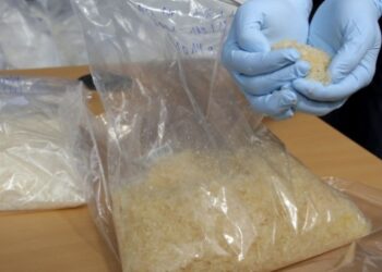 Camioneta pretendía cruzar la frontera hacia EEUU hasta que le descubrieron 160 kilos de metanfetaminas