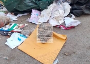 Terrorífico hallazgo en Aragua: cráneo humano desconcertó a transeúntes en plena vía de Caña de Azúcar