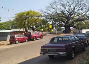 Chavismo surte gasolina a su maquinaria ante el referendo del Esequibo