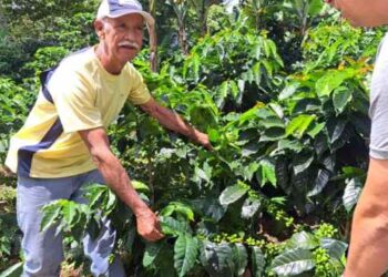 Rubio es Café: la feria que busca rescatar la tradición cafetalera de Táchira