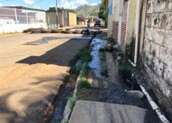 Aguas piches atentan contra la salud de habitantes de Santa Rosa en Guárico