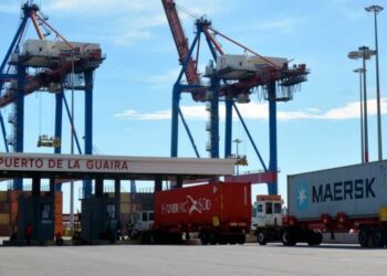 Chavismo anunció la llegada de 96 nuevos vehículos al Puerto de La Guaira (Video)