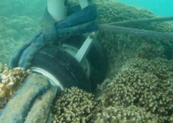 Avión de la Marina de EEUU quedó atascado en un arrecife de coral en Hawái