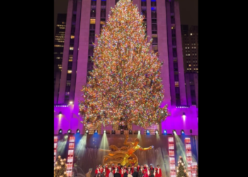 EN VIDEO: Nueva York se ilumina con el tradicional árbol de Navidad del Rockefeller Center
