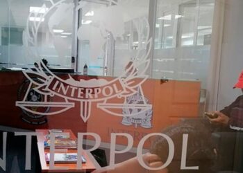 “Pandemia” de delincuencia transnacional enciende las alertas de seguridad de la Interpol
