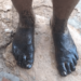 Another oil spill spoils the beaches of Paraguaná in western Venezuela: Tourists flee when they see themselves stained by crude oil