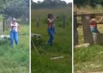 Invasores acosan a adulta mayor en su finca de Barinas y en el Ministerio Público “no le paran pelotas”