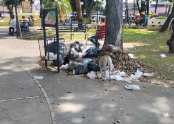 Montones de basura en vez de adornos navideños en la plaza del Estudiante de Barinas
