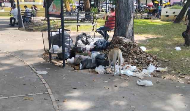 Montones de basura en vez de adornos navideños en la plaza del Estudiante de Barinas
