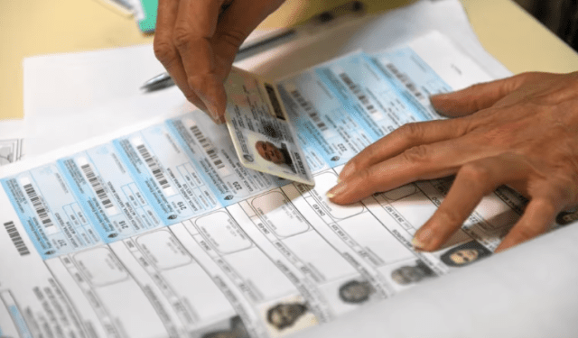 Cámara Electoral de Argentina calificó de “infundadas” las versiones de fraude en segunda vuelta