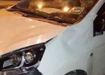 Venganza animal: Arrolló a un bebé elefante con su carro y la manada reaccionó aplastándolo