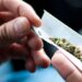 Los adictos al cannabis tienen más riesgo de sufrir cáncer de pulmón, según estudio