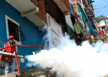 Alertan que brote de dengue en Caracas pasó a ser epidemia tras filtración de misiva chavista